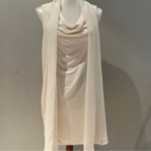 WHBM | Cowl Neck Dress